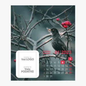 Stolni CD kalendar Ptice 2023 - siječanj